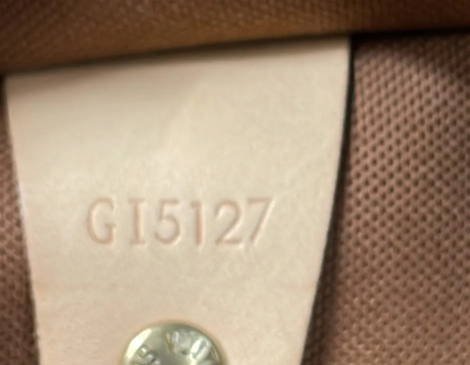 All In Handbag Monogram Canvas PM