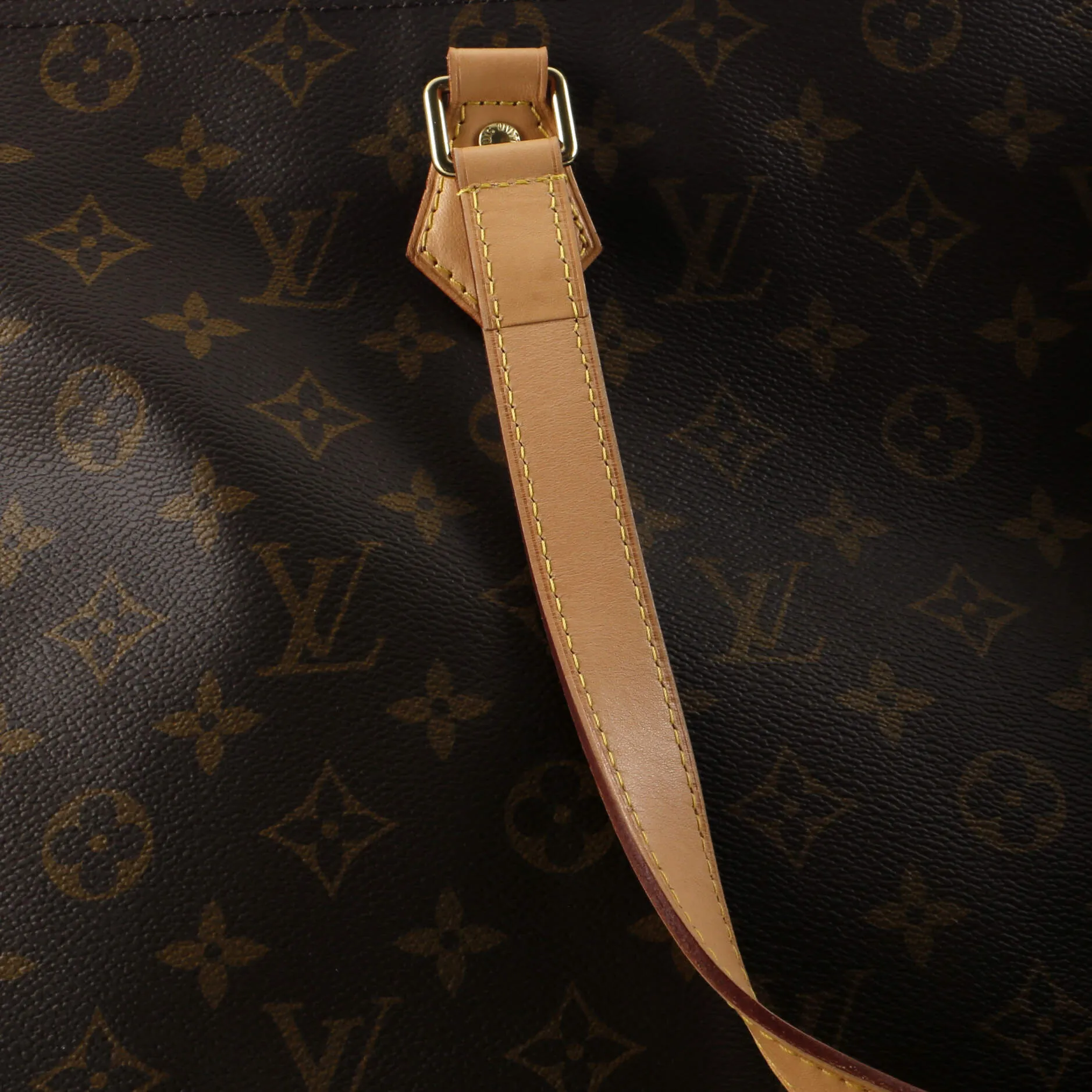 All In Handbag Monogram Canvas PM