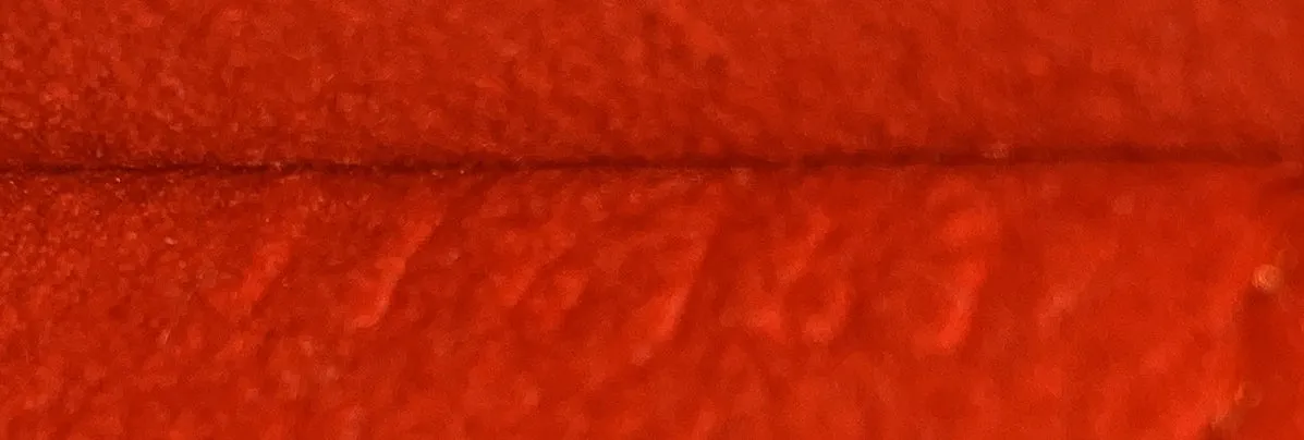 Alma Handbag Epi Leather PM