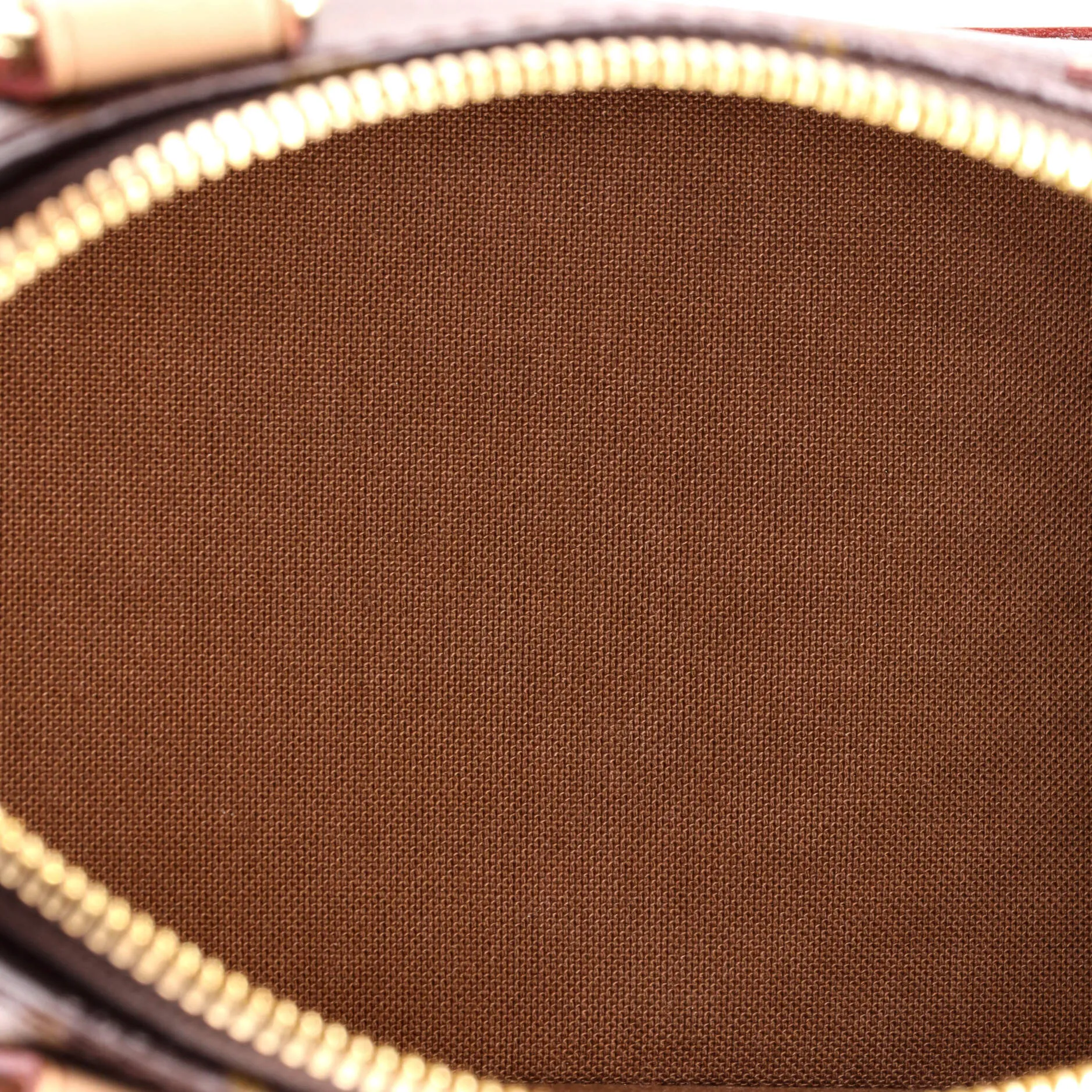 Alma Handbag Monogram Canvas BB
