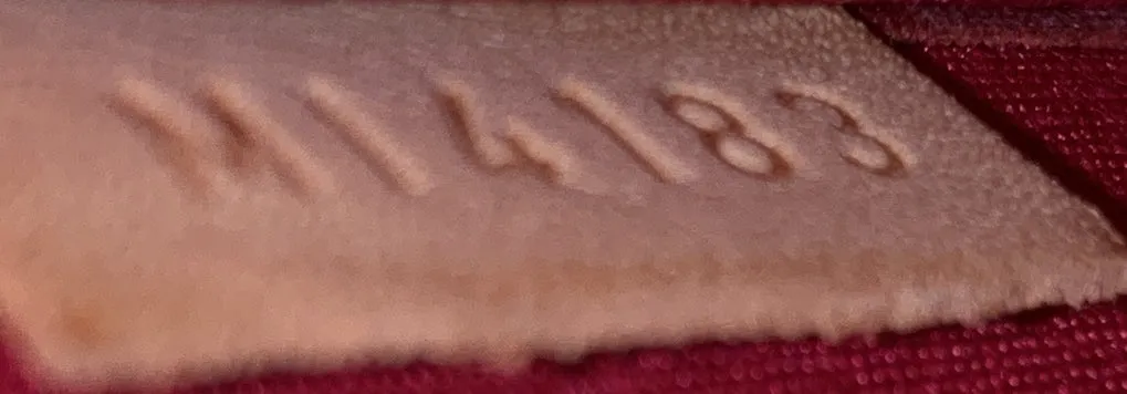 Alma Handbag Monogram Vernis BB