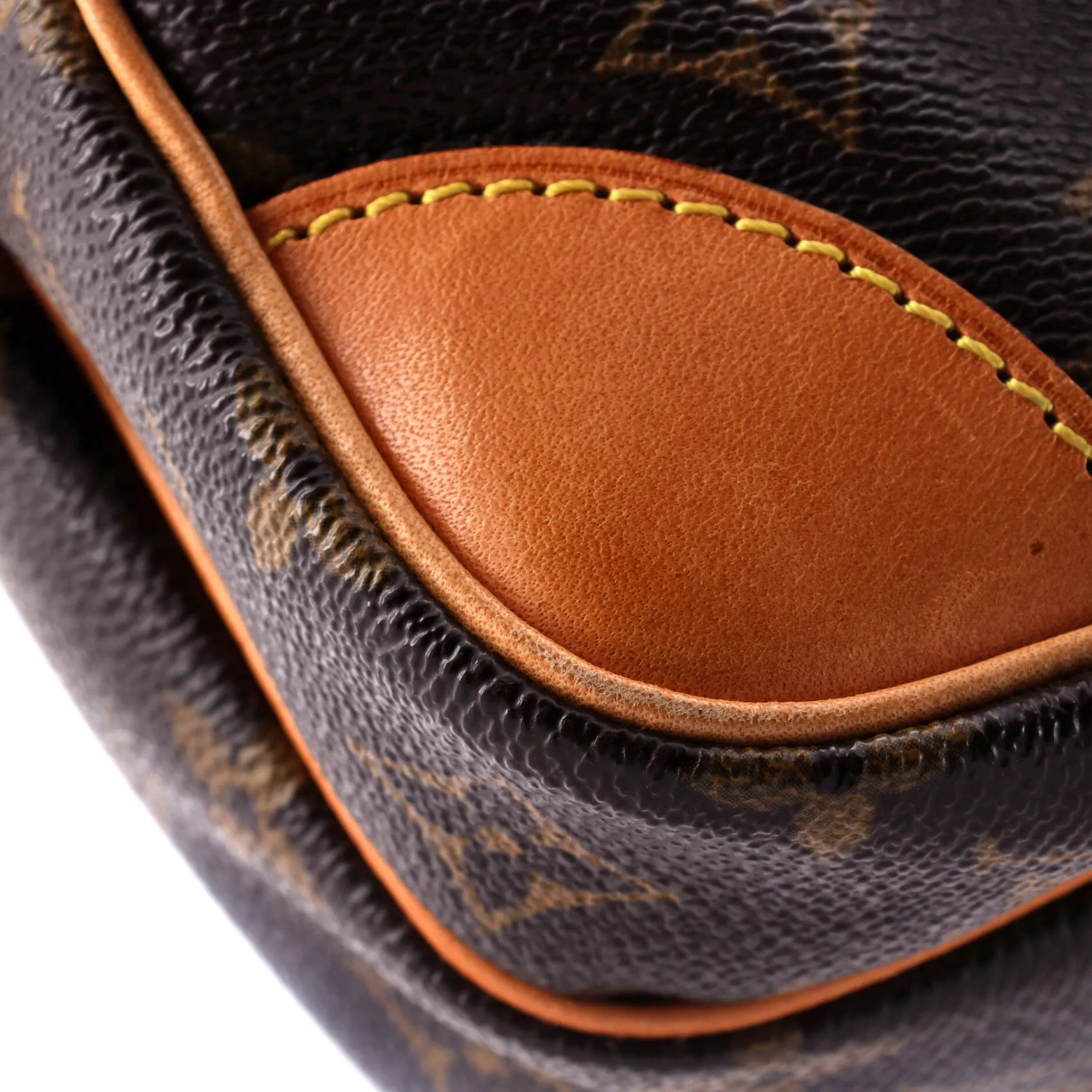 Amazone Bag Monogram Canvas