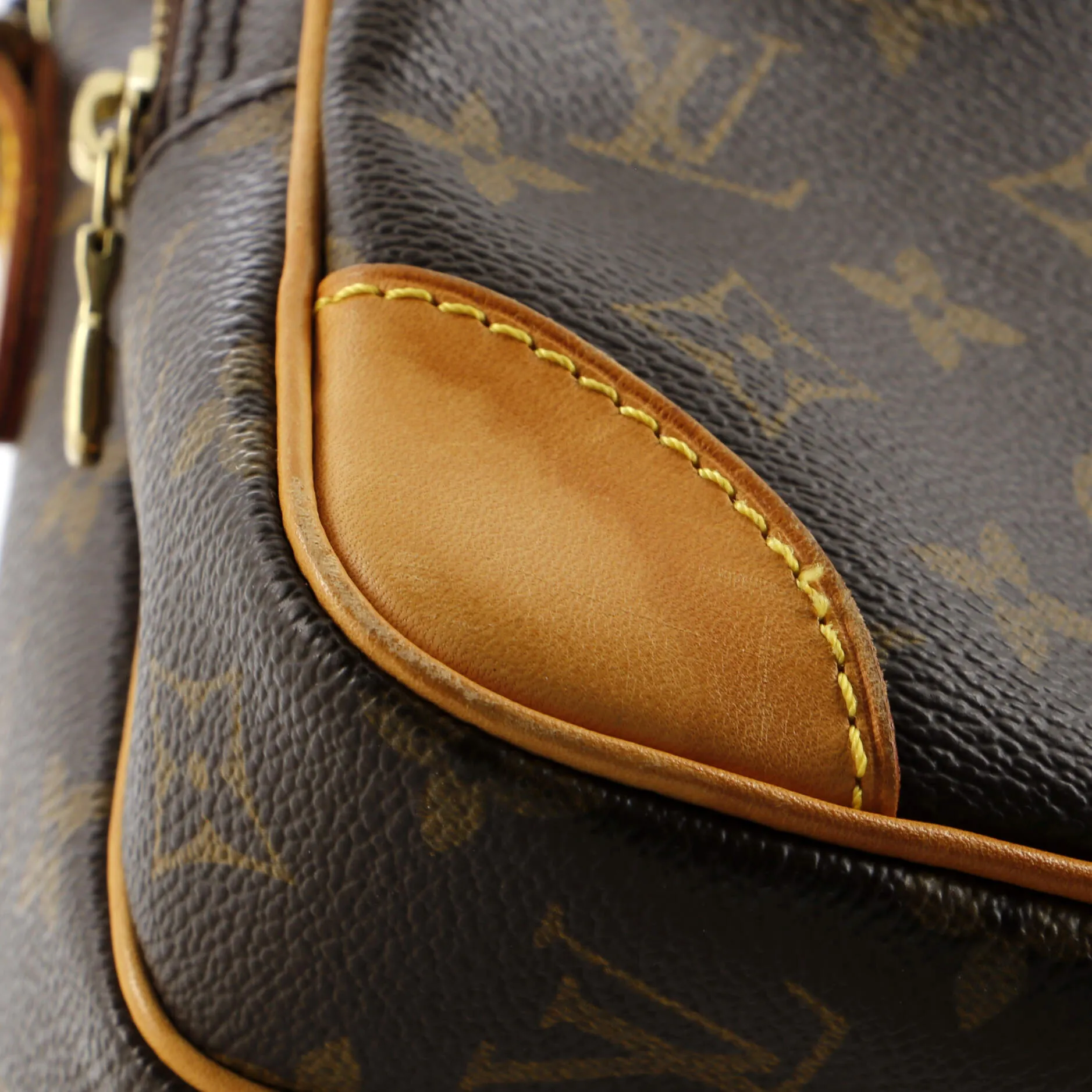 Amazone Bag Monogram Canvas