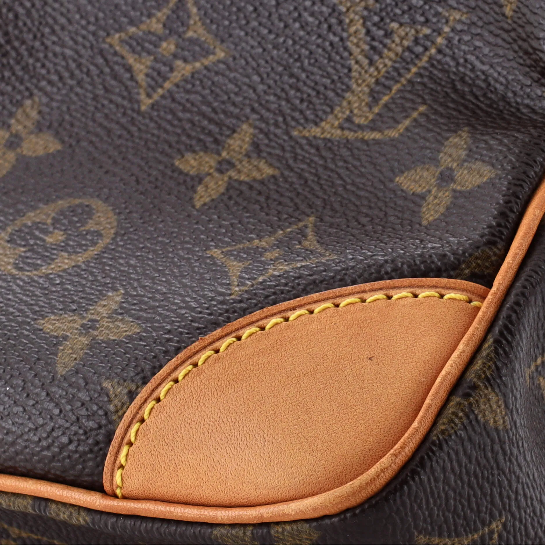 Amazone Bag Monogram Canvas