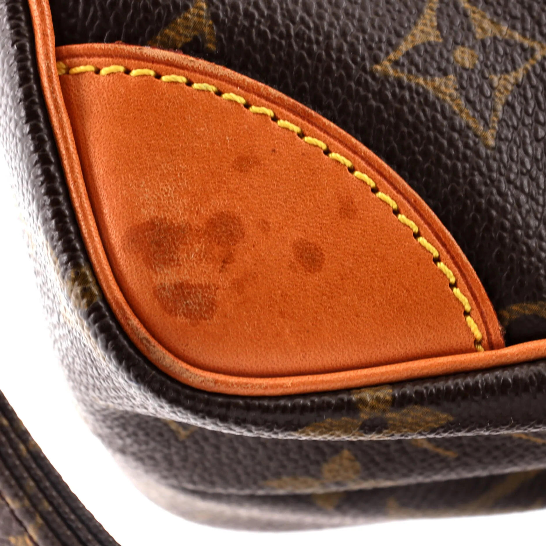 Amazone Bag Monogram Canvas