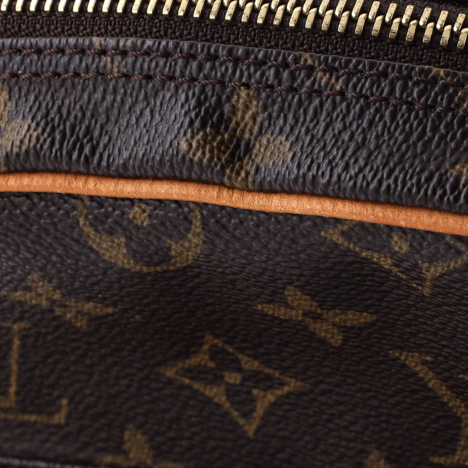 Amazone Bag Monogram Canvas
