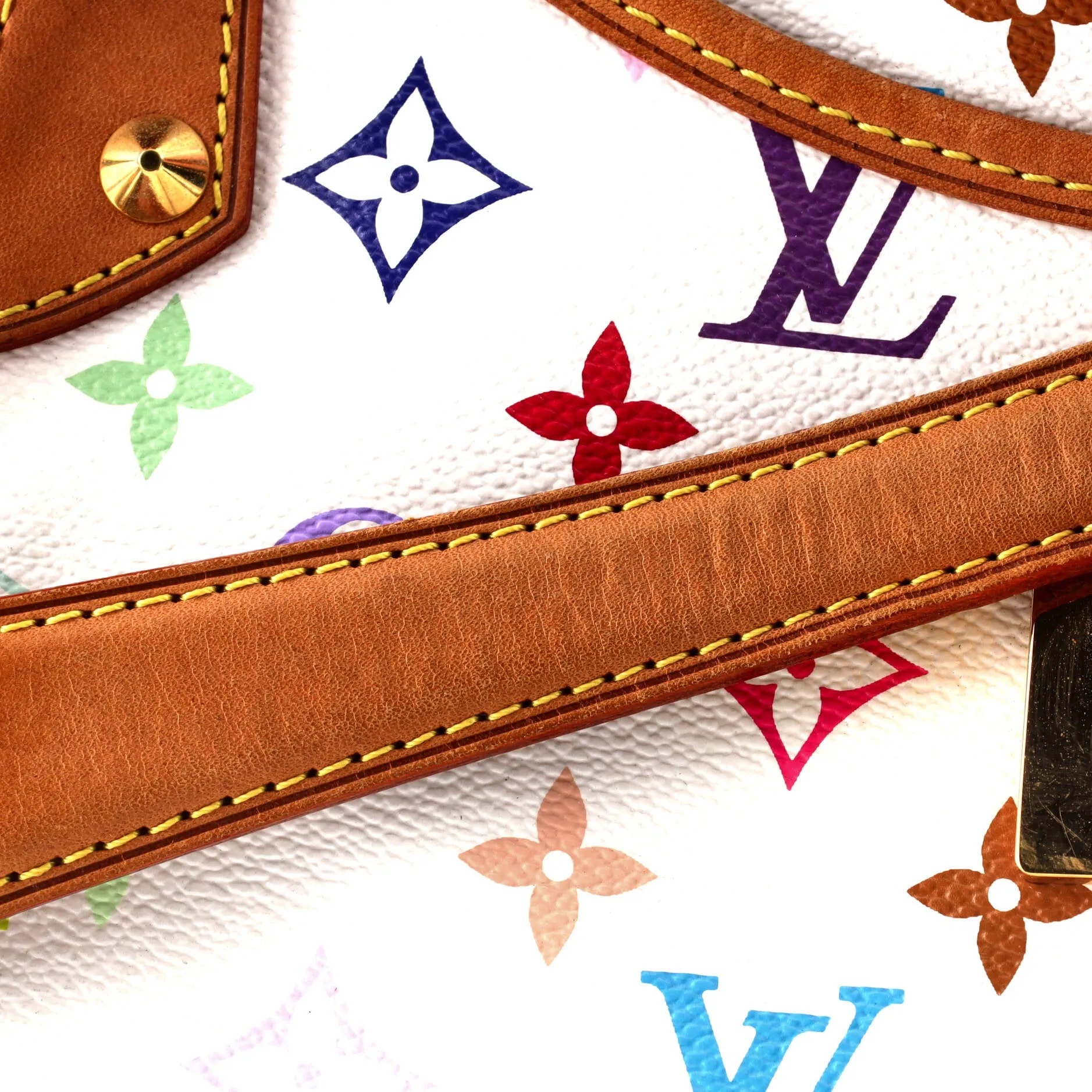 Annie Handbag Monogram Multicolor GM