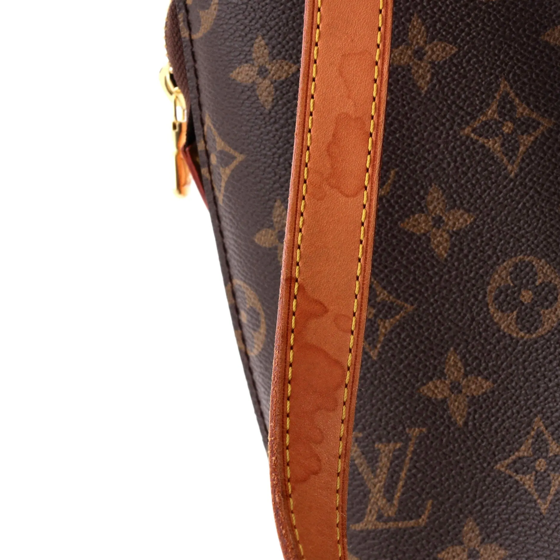 Babylone Handbag Monogram Canvas
