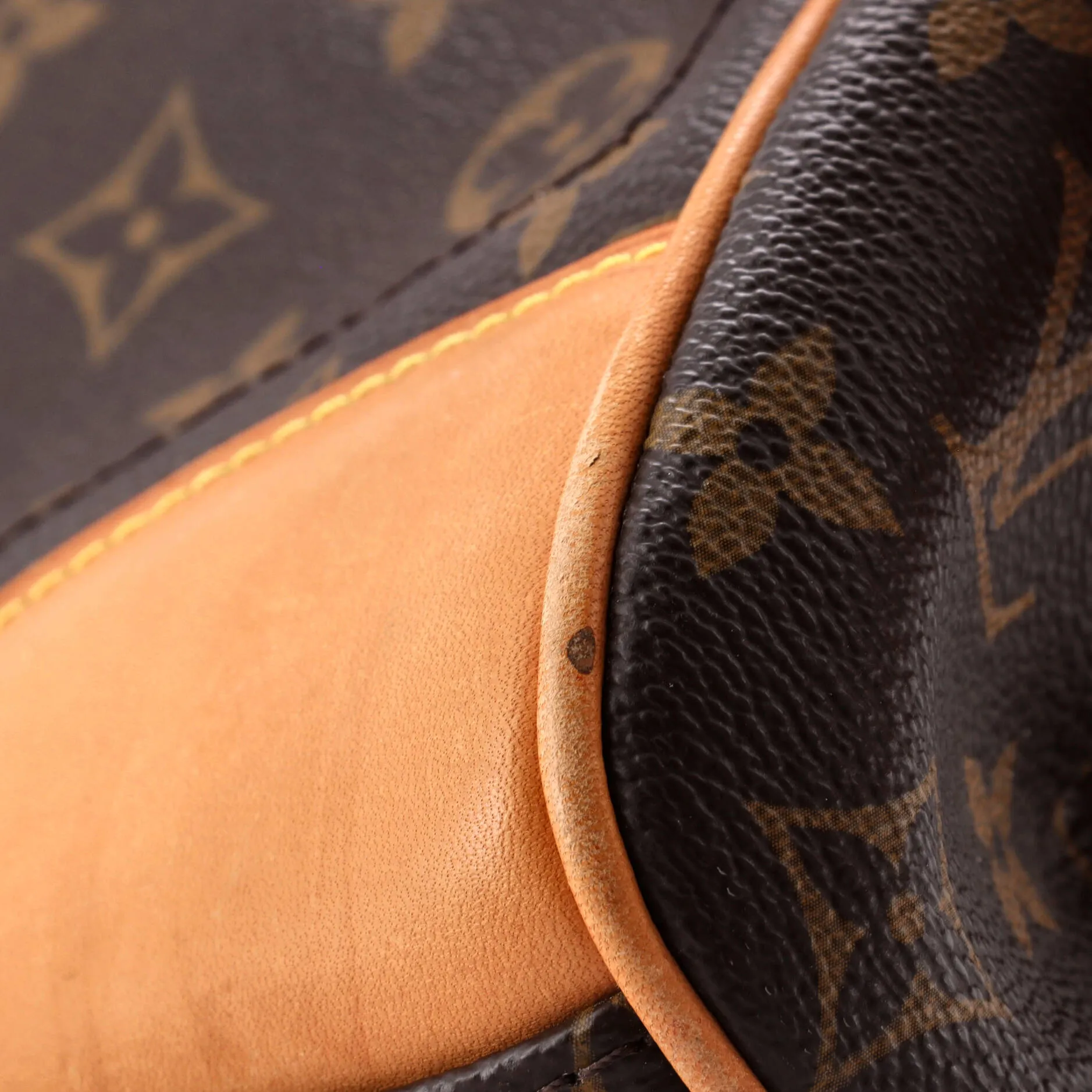 Beverly Handbag Monogram Canvas MM