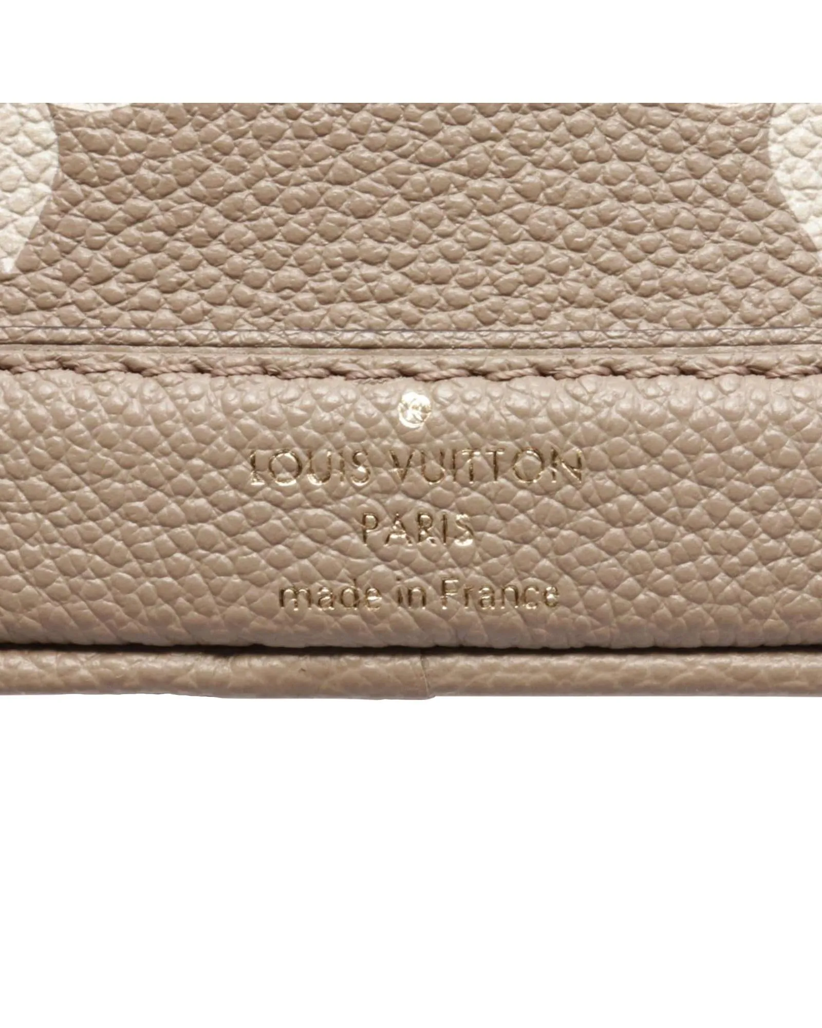 Bicolor Monogram Empreinte Leather Nano Noe with Drawstring Closure