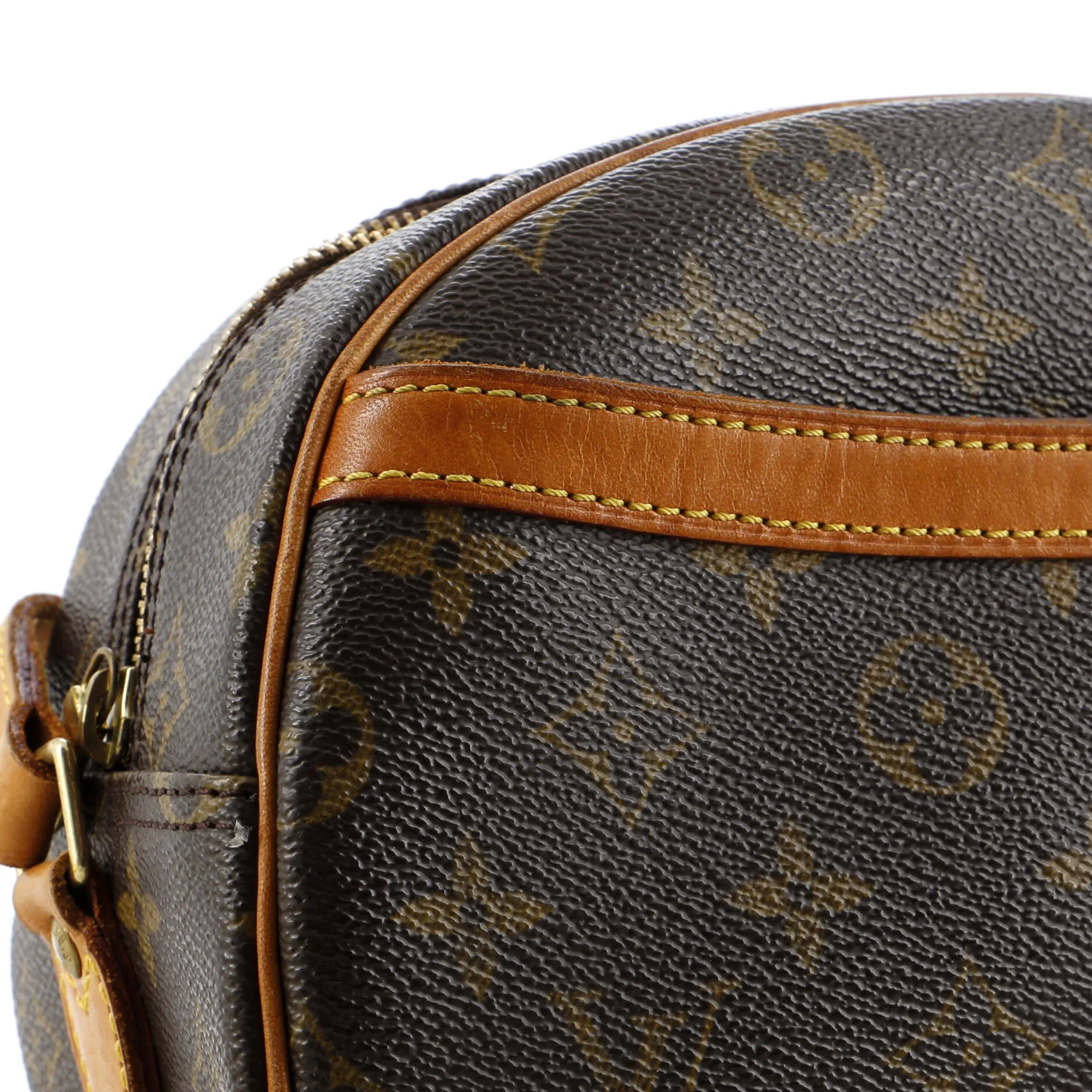 Blois Handbag Monogram Canvas