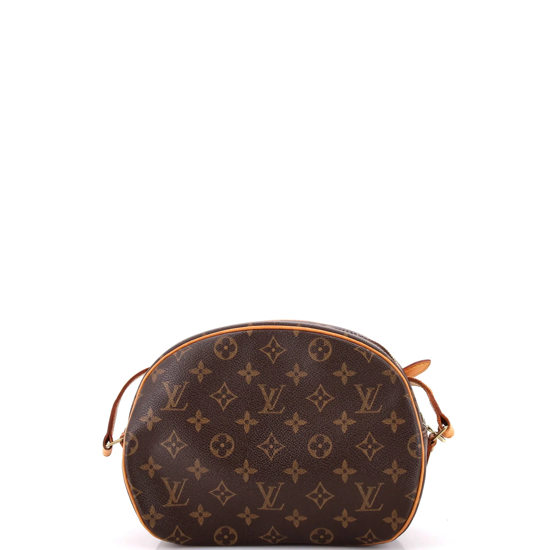 Blois Handbag Monogram Canvas