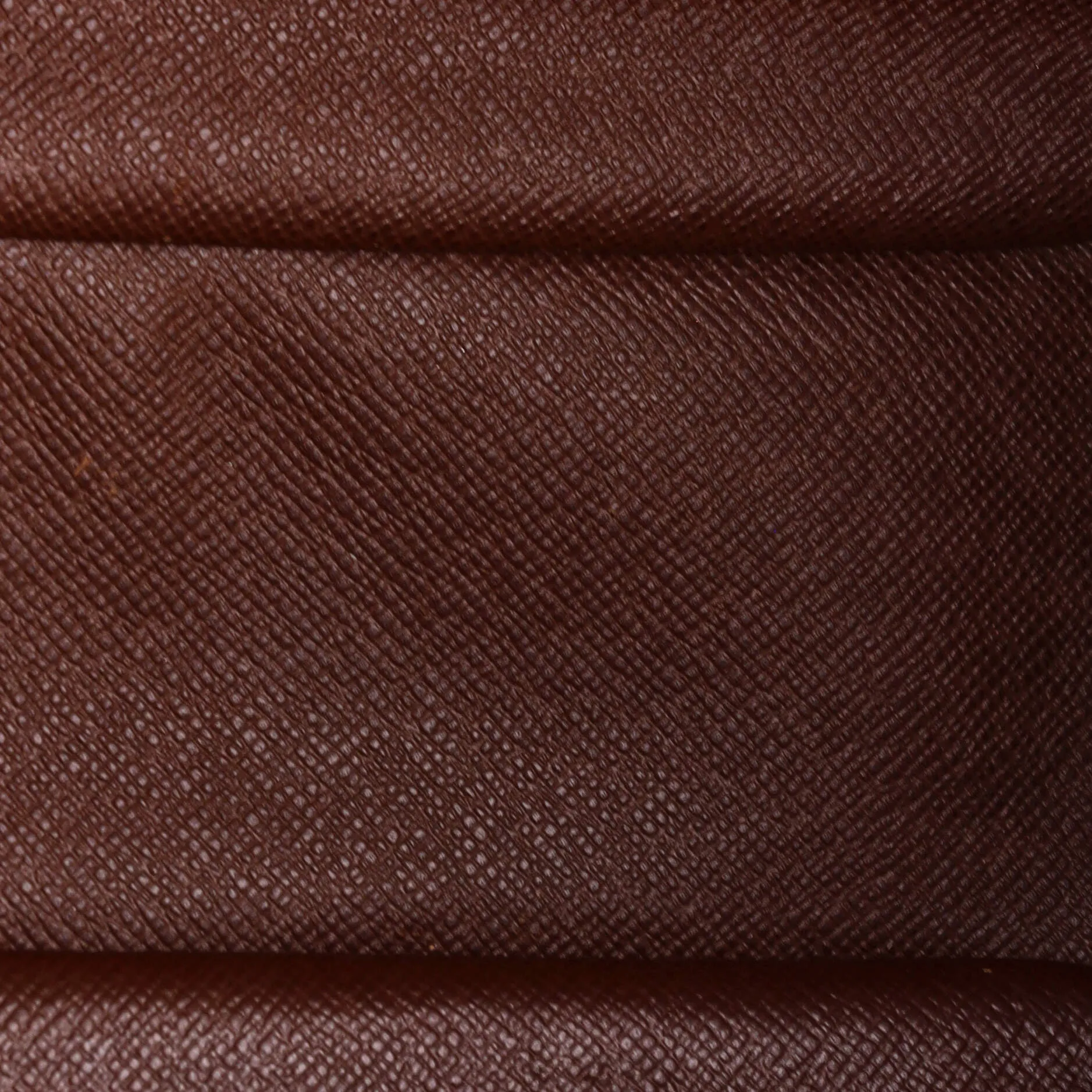 Blois Handbag Monogram Canvas