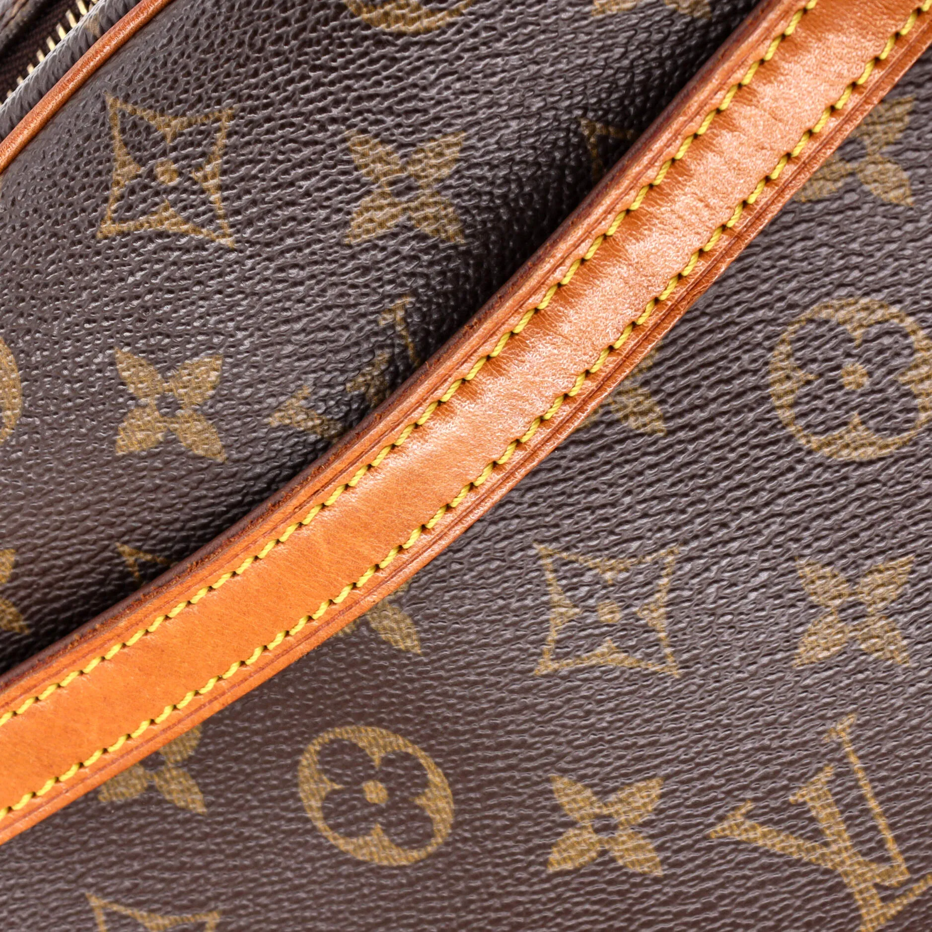 Blois Handbag Monogram Canvas
