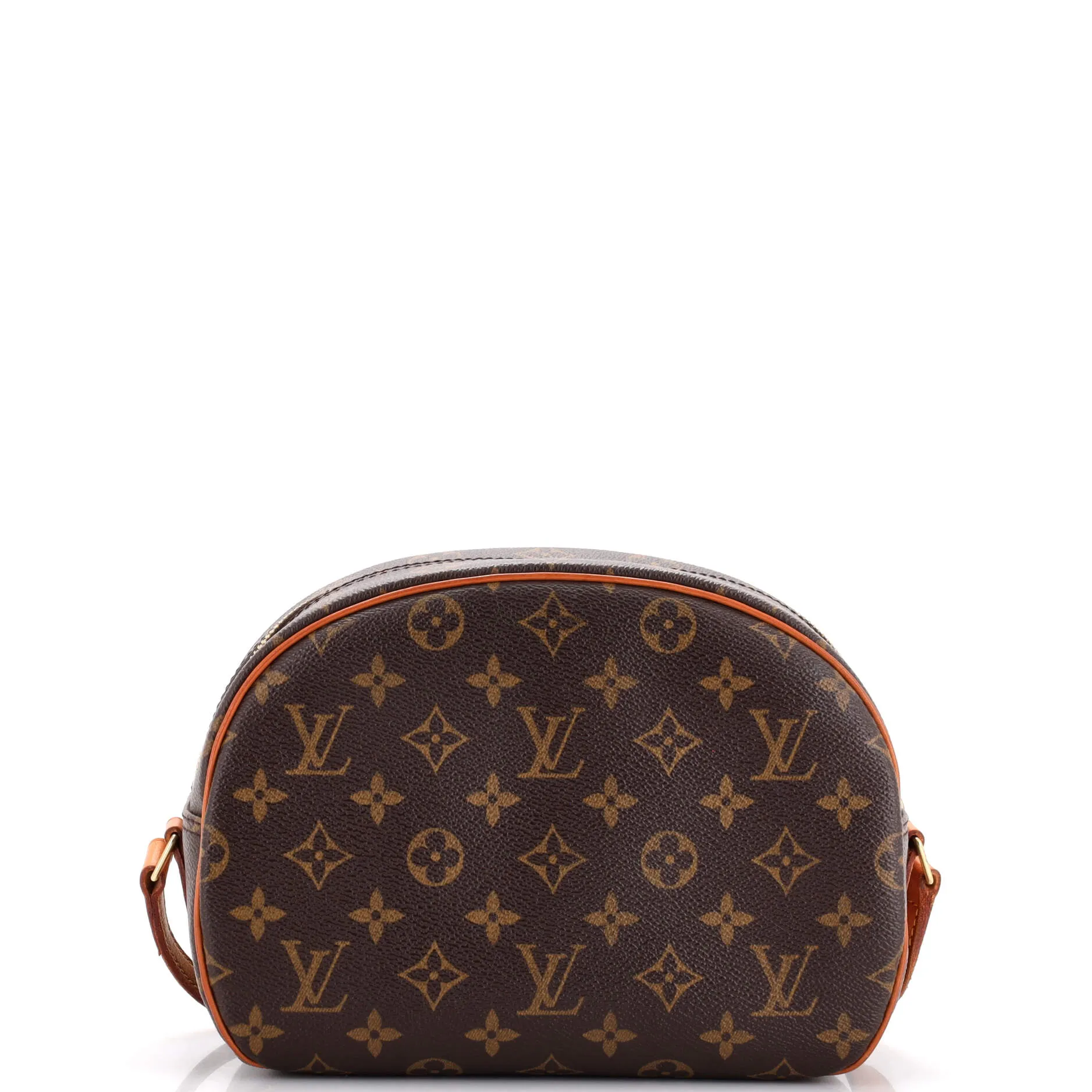 Blois Handbag Monogram Canvas