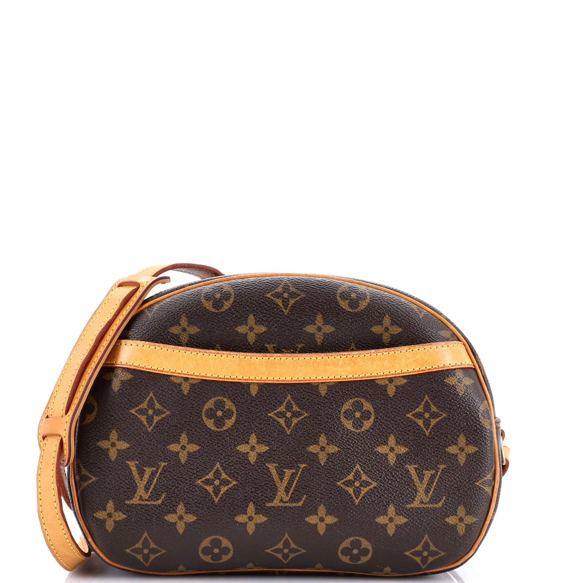 Blois Handbag Monogram Canvas