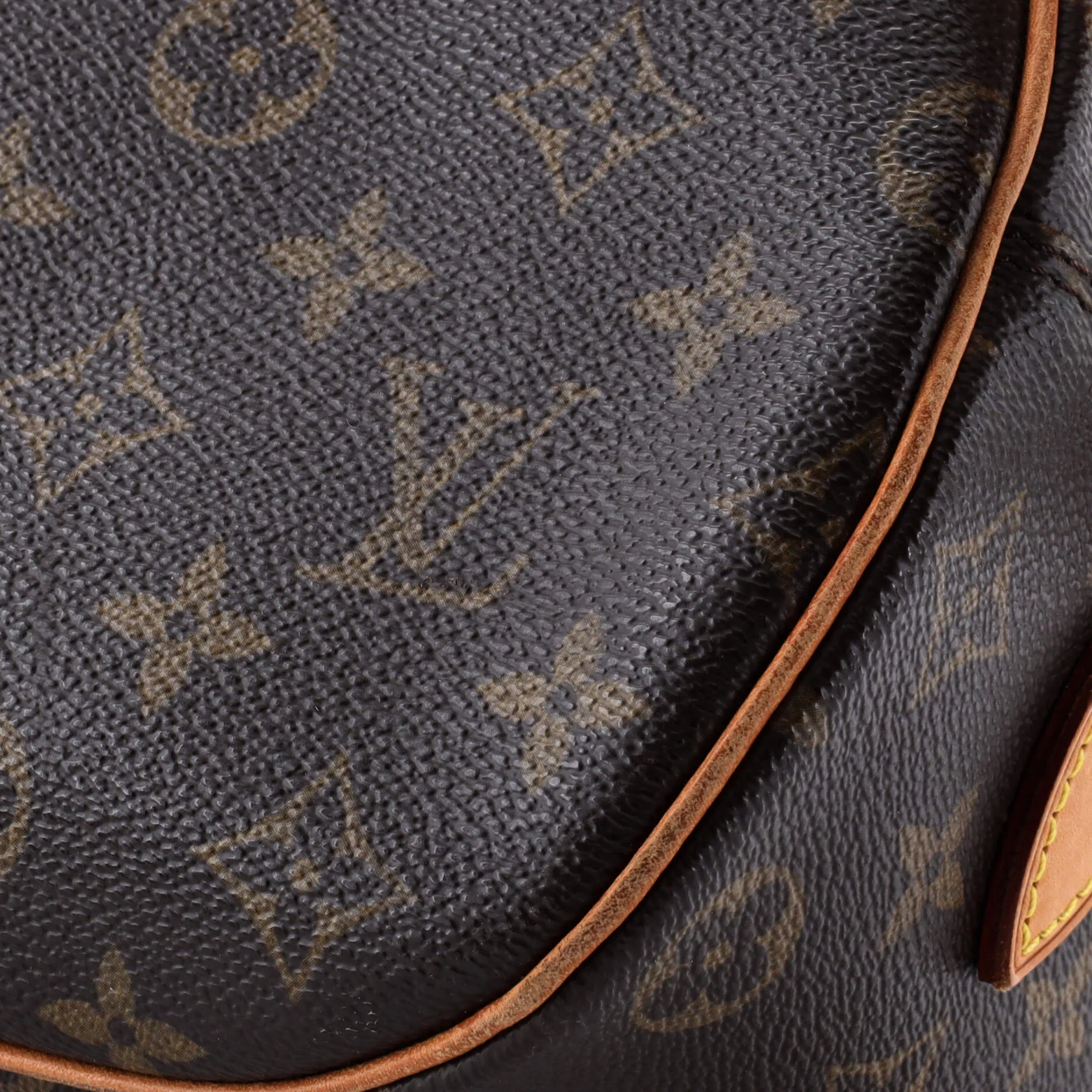Blois Handbag Monogram Canvas