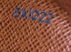 Blois Handbag Monogram Canvas