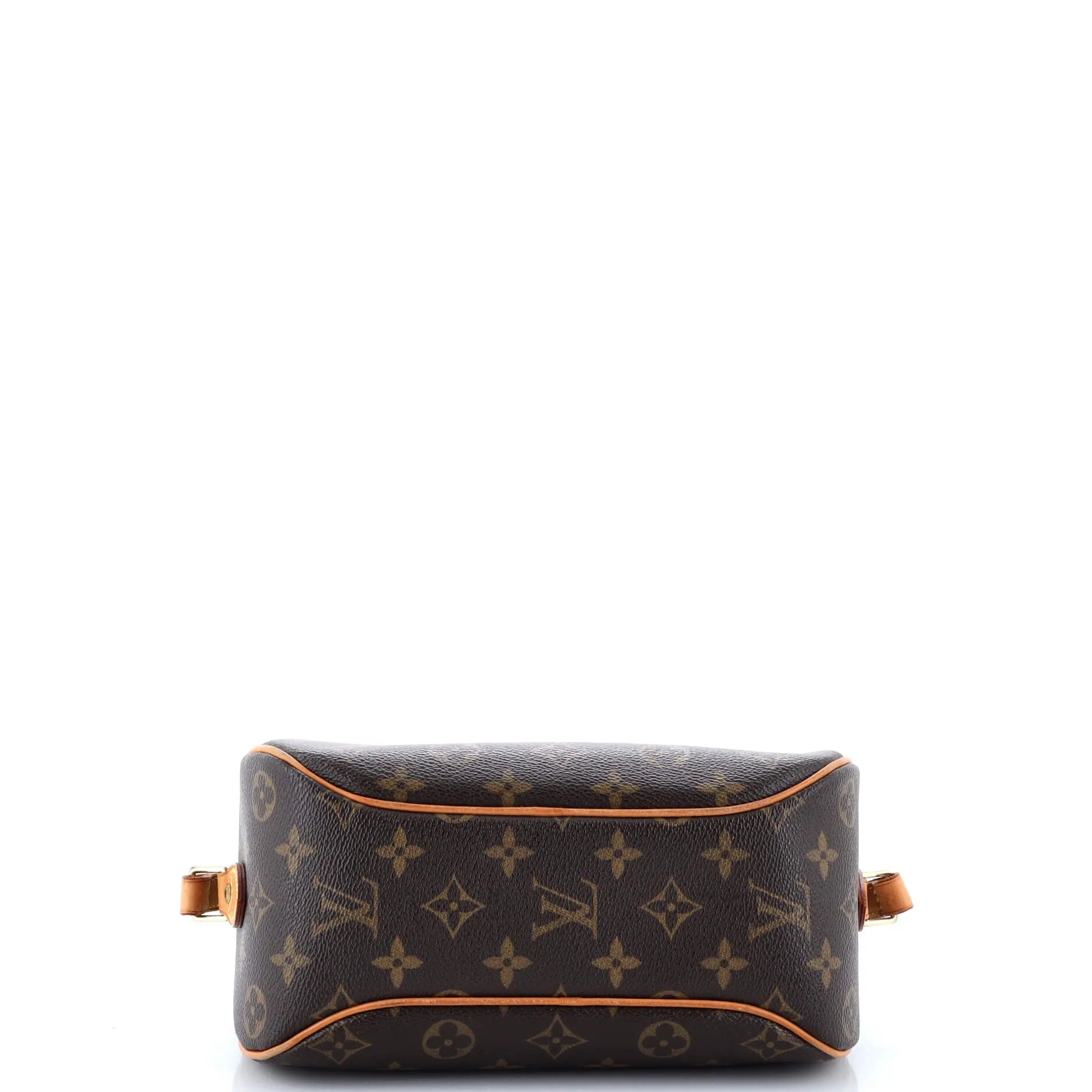 Blois Handbag Monogram Canvas