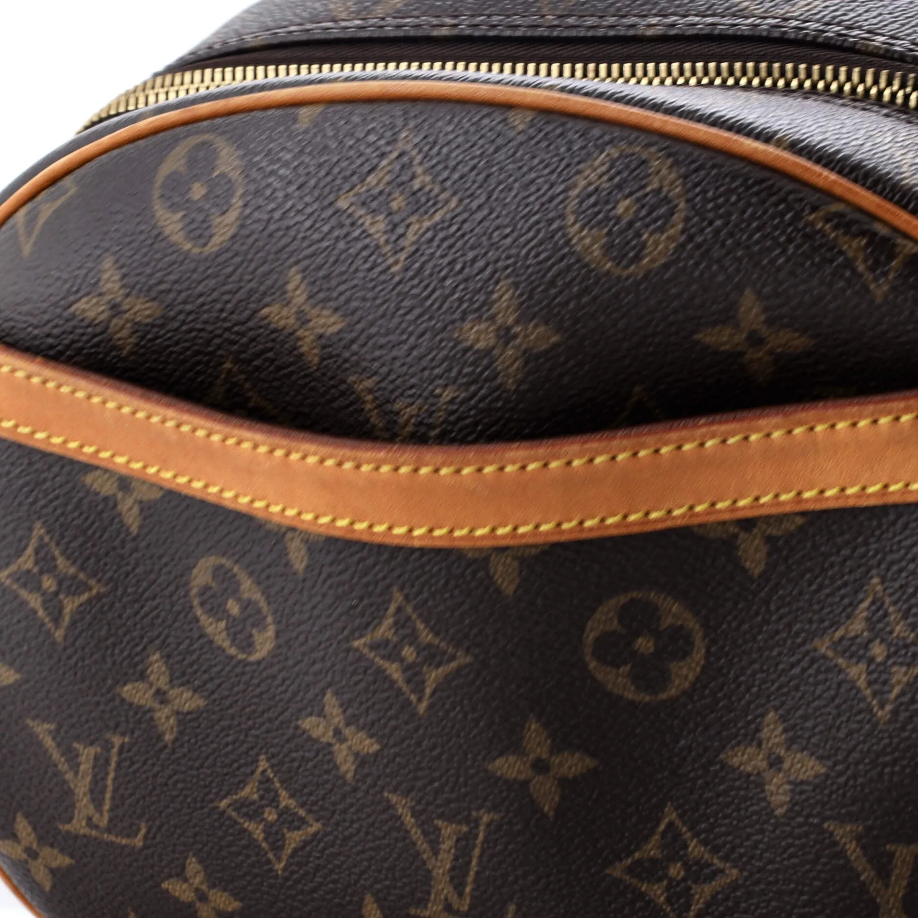 Blois Handbag Monogram Canvas