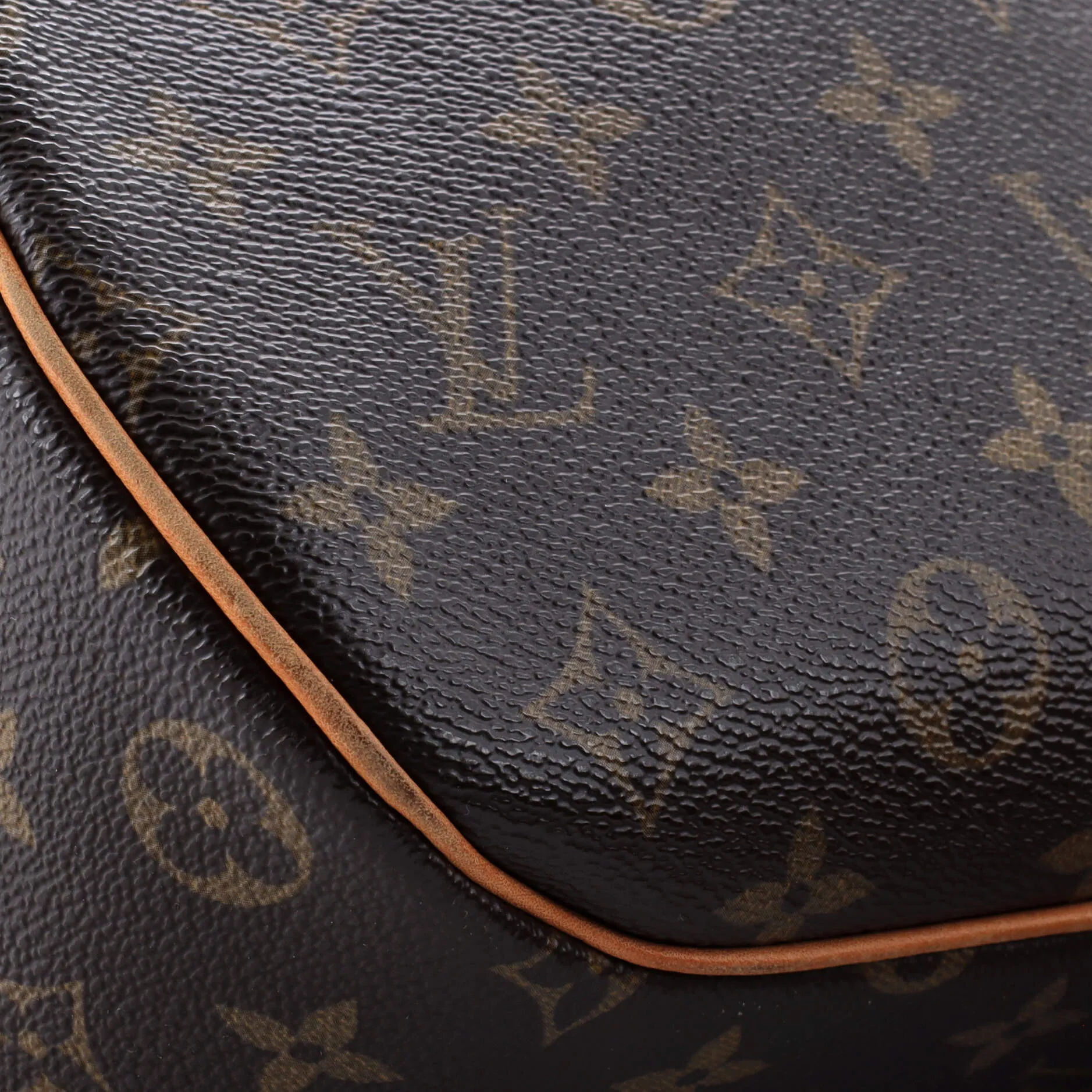 Blois Handbag Monogram Canvas