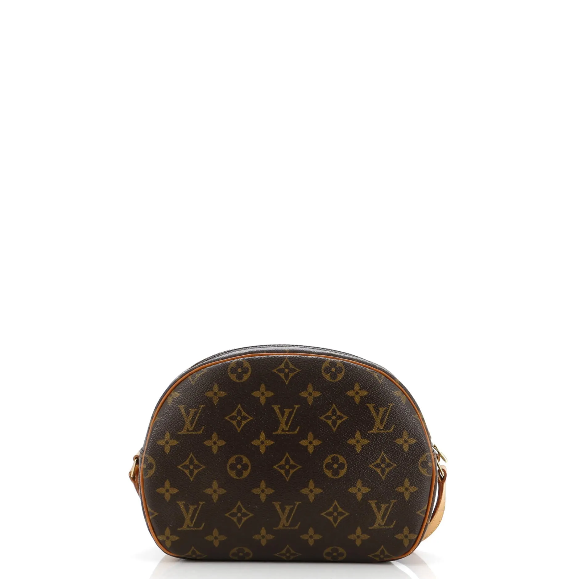 Blois Handbag Monogram Canvas
