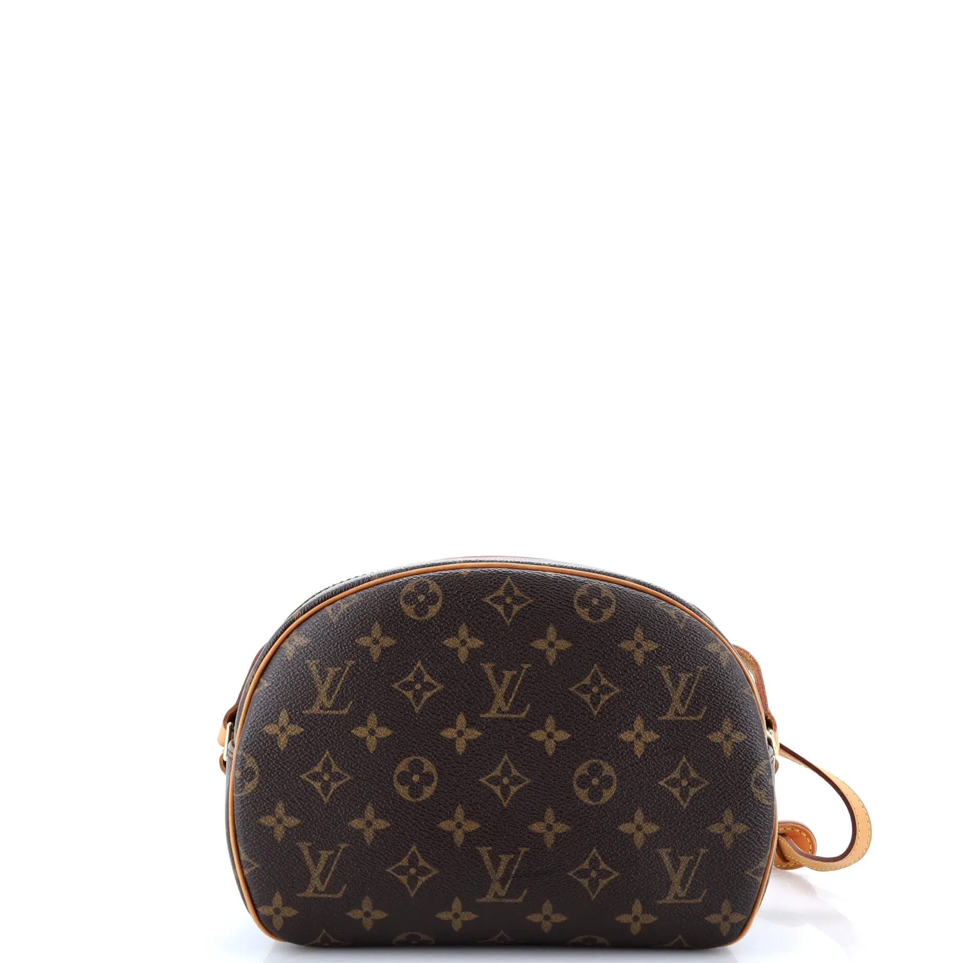 Blois Handbag Monogram Canvas