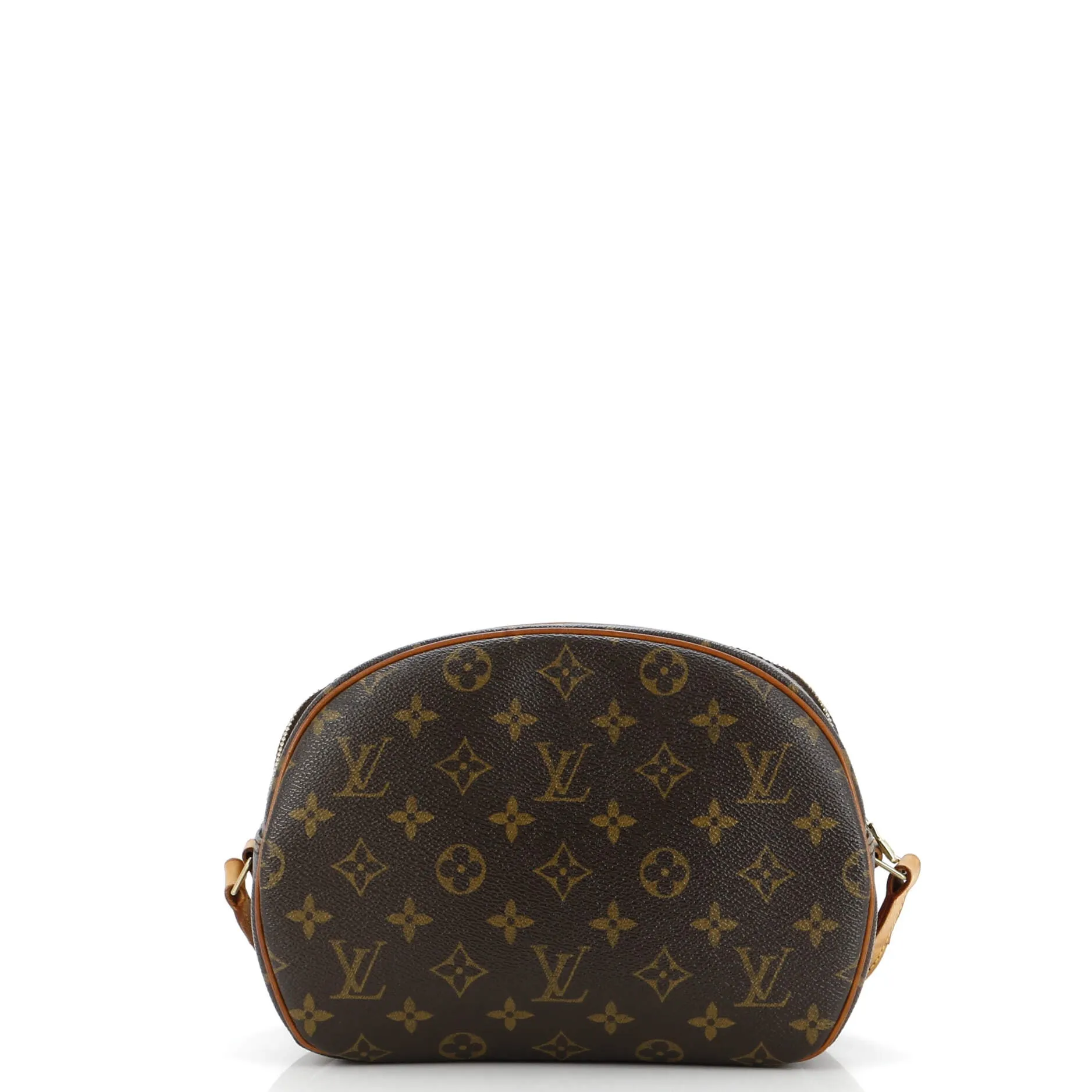 Blois Handbag Monogram Canvas