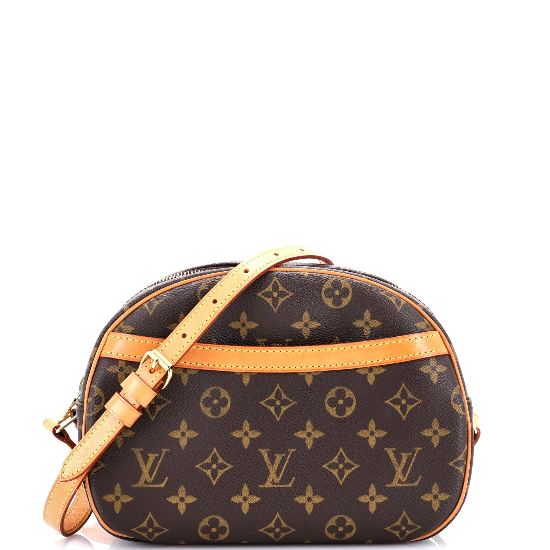 Blois Handbag Monogram Canvas