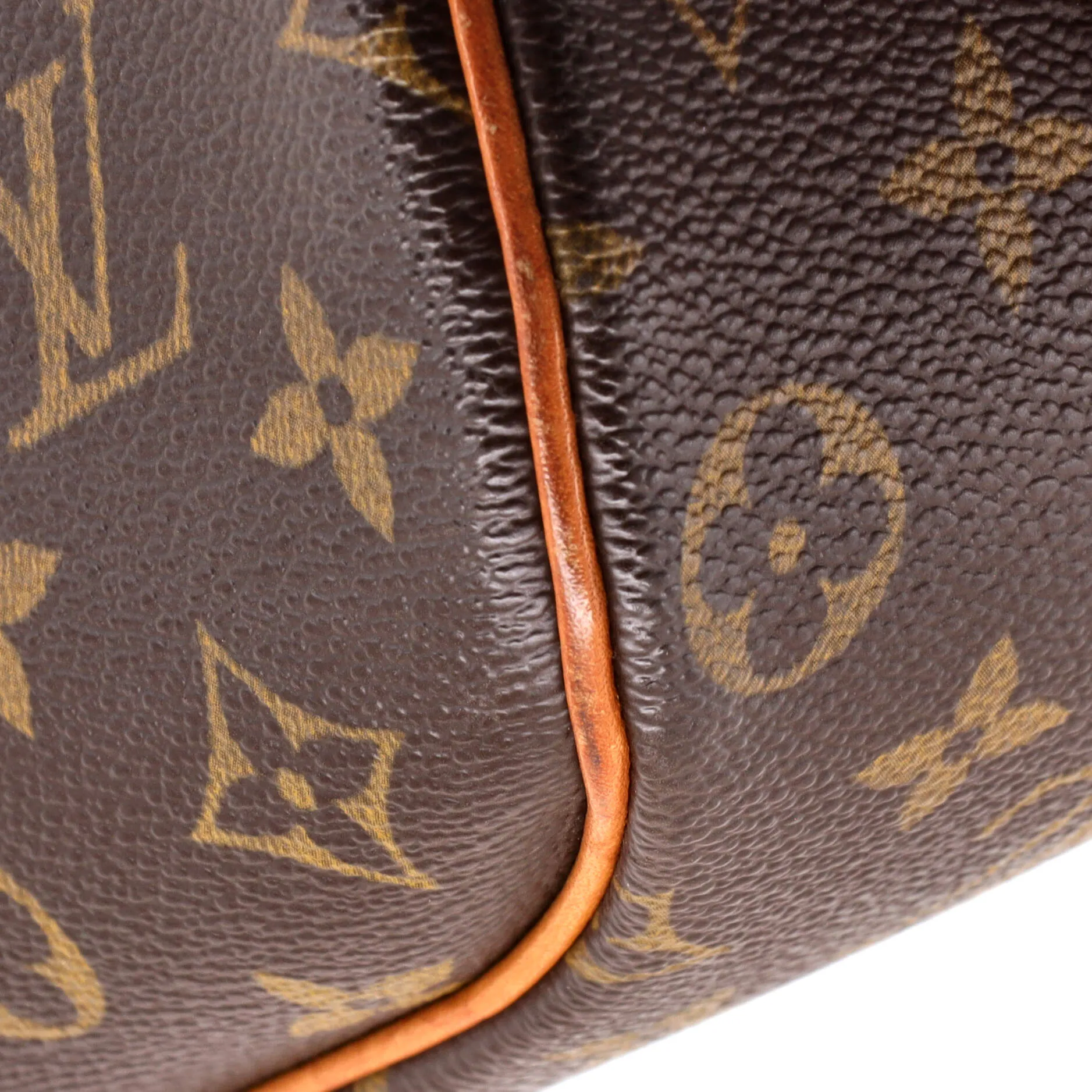 Blois Handbag Monogram Canvas