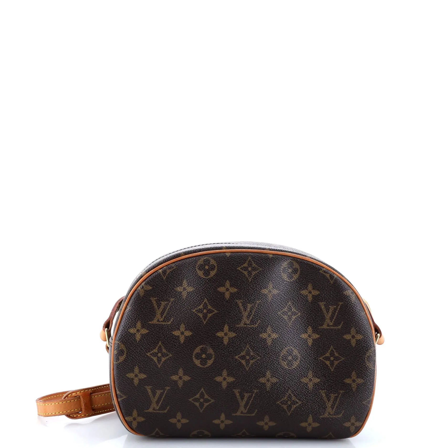Blois Handbag Monogram Canvas