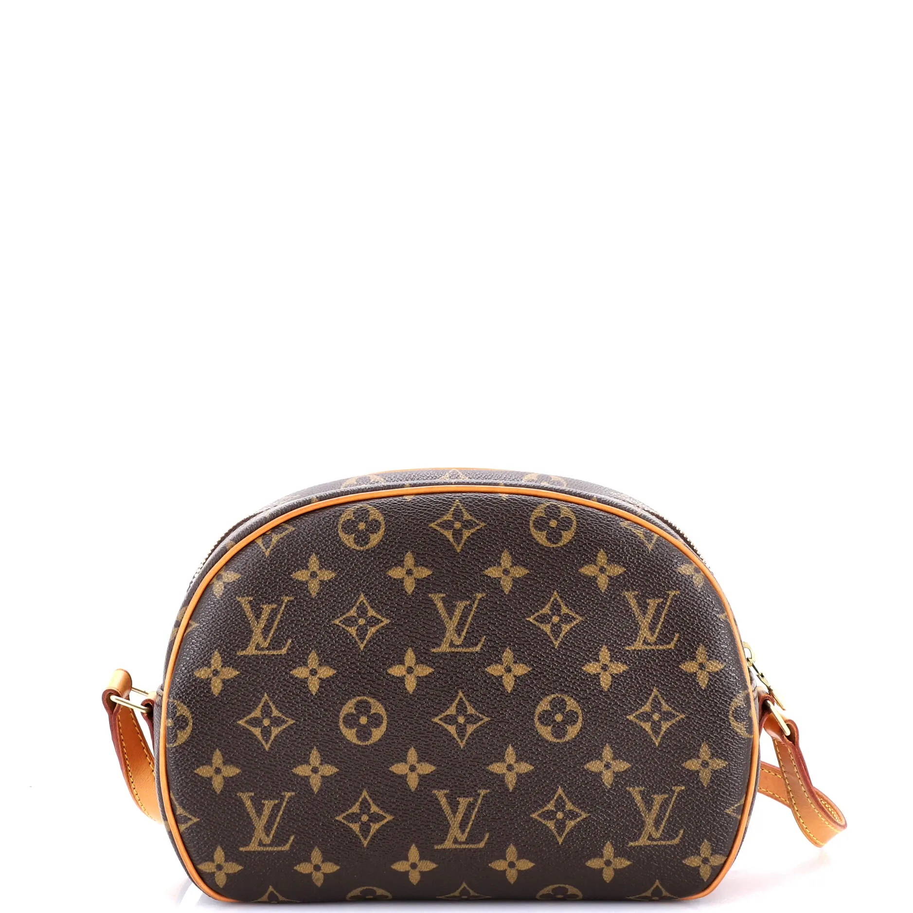 Blois Handbag Monogram Canvas