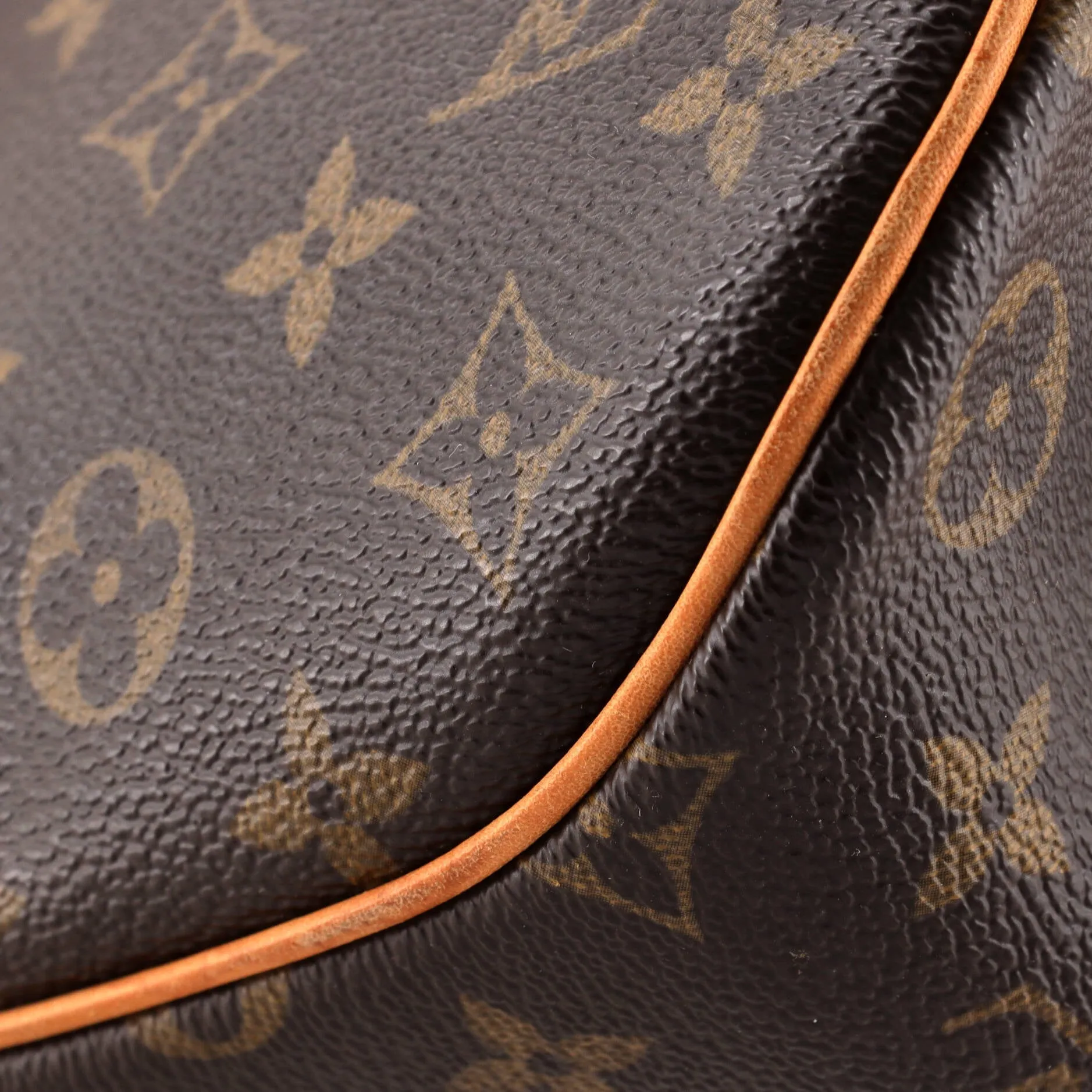 Blois Handbag Monogram Canvas