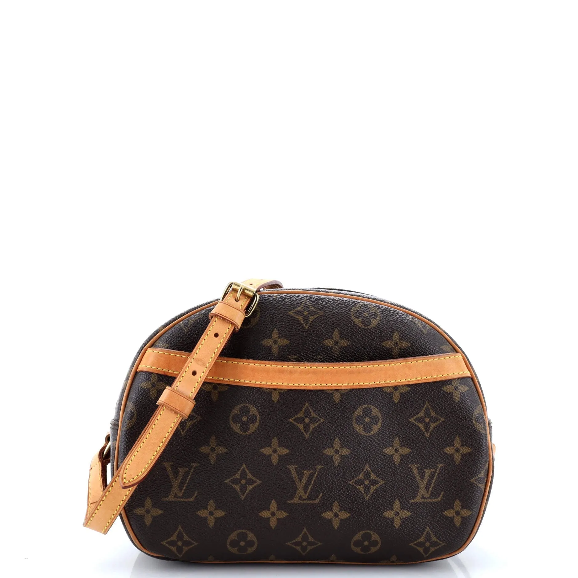 Blois Handbag Monogram Canvas