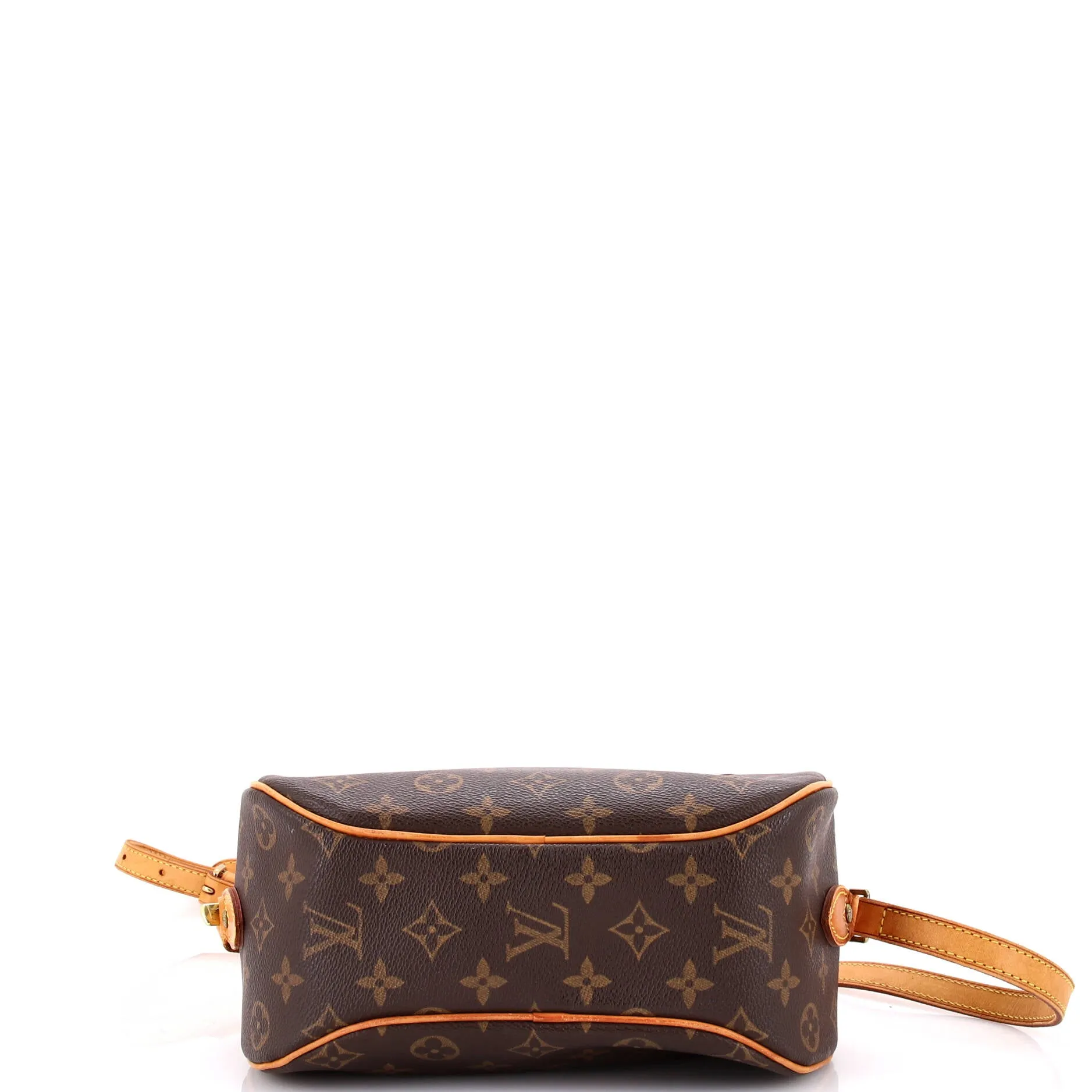 Blois Handbag Monogram Canvas