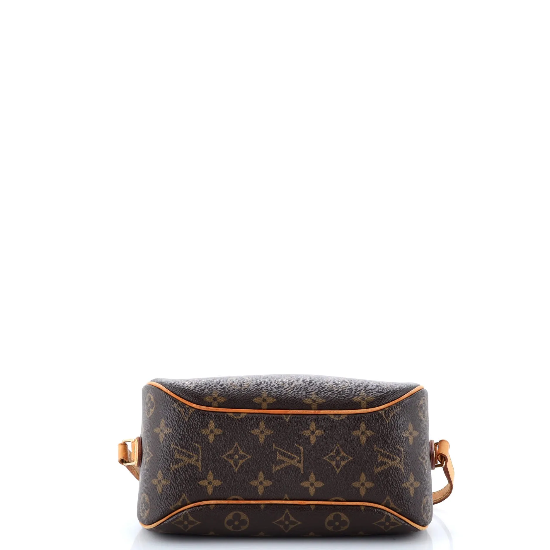 Blois Handbag Monogram Canvas