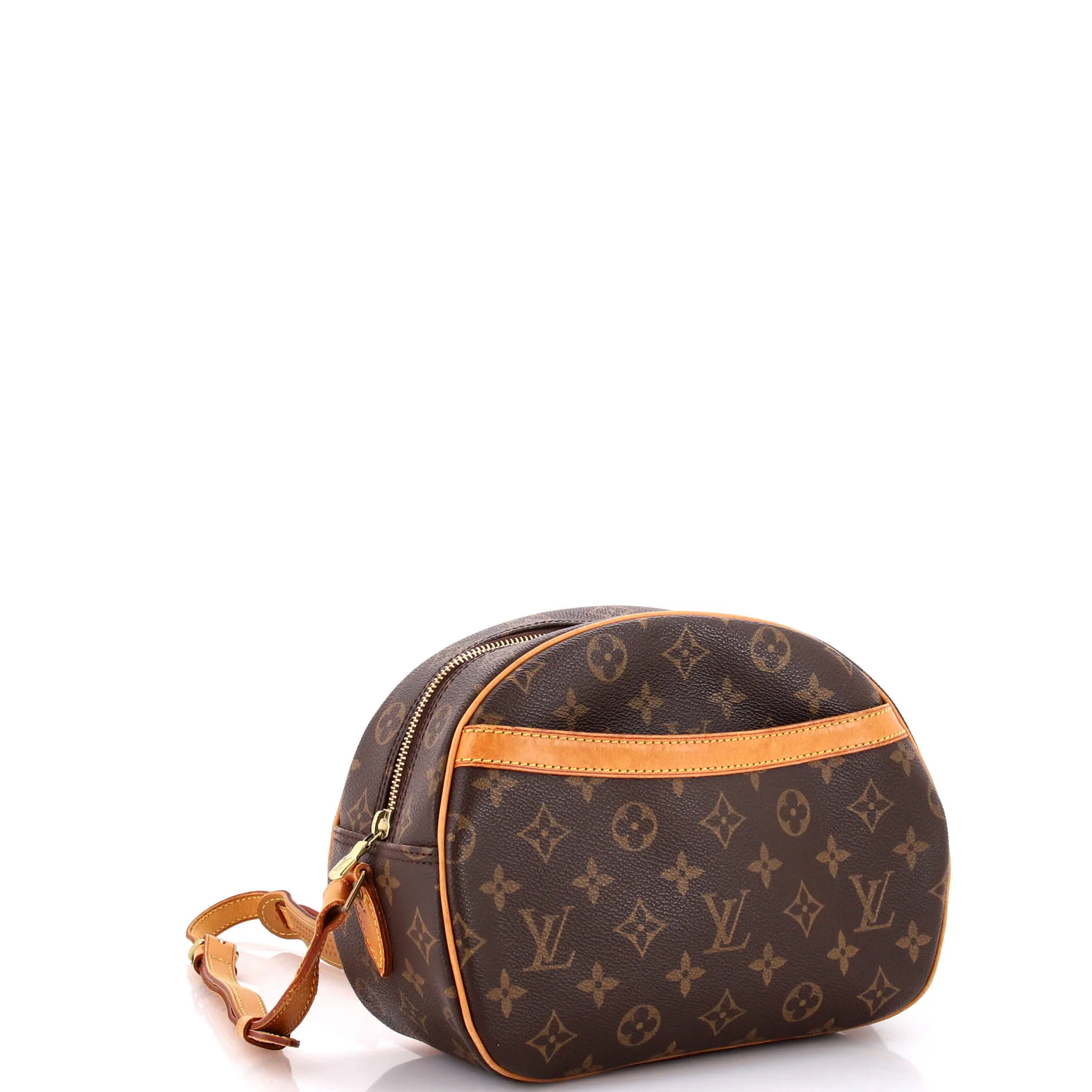 Blois Handbag Monogram Canvas